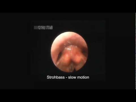 Strohbass (Vocal Fry) vs. Kargyraa - 2 Subharmonic Singing Techniques